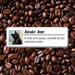JOSIE JOE